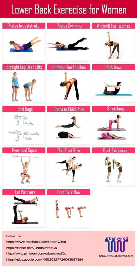 15++ Home workout for lower back easy | absworkoutcircuit