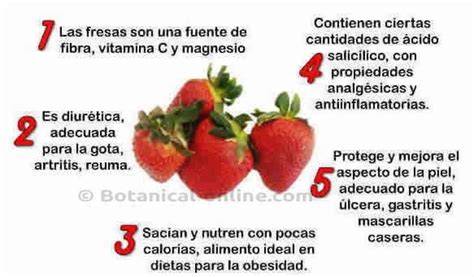 Propiedades De Las Fresas Propiedades De La Frutilla Fresas Frutas