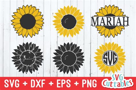 Sunflower Svg Sunflower Monogram Frame 241926