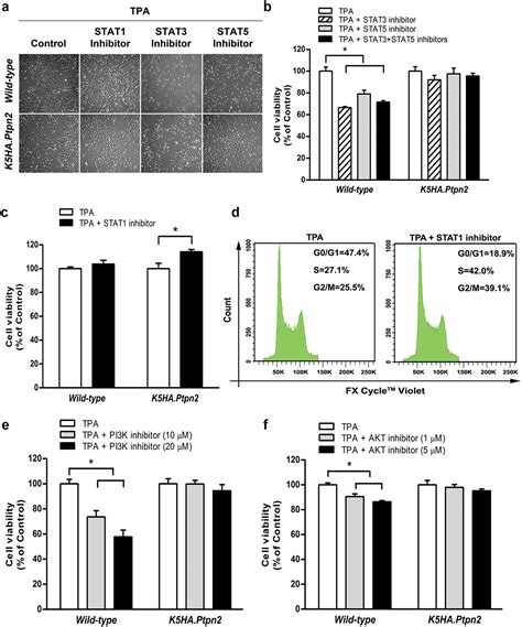 Overexpression Of Tc Ptp In Murine Epidermis Attenuates Skin Tumor