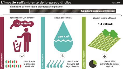 Quanto Costa Lo Spreco Di Cibo All Ambiente Oggiscienza