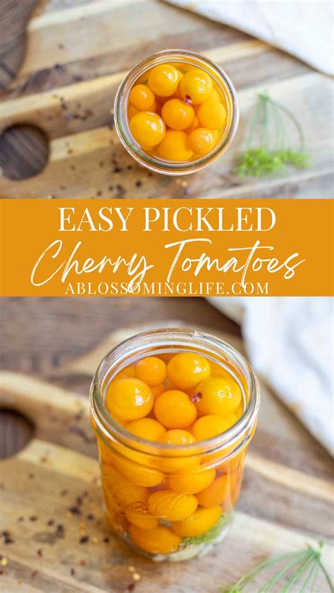 Quick Pickled Cherry Tomatoes Recipe A Blossoming Life