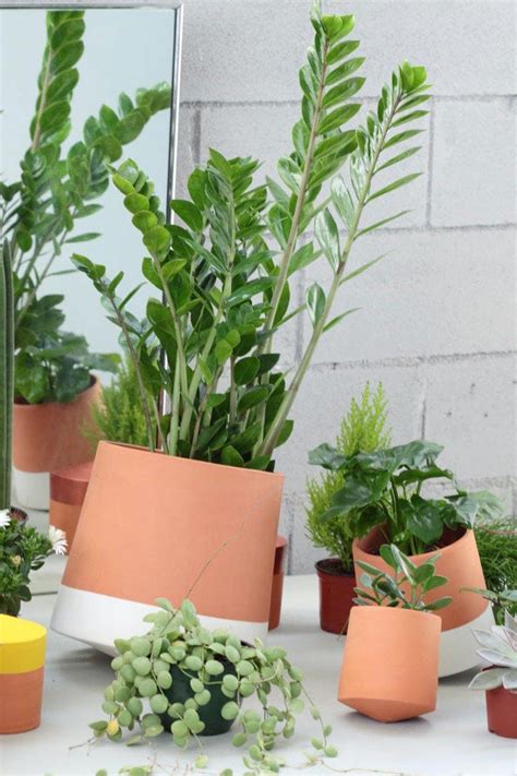 18 Stylish Indoor Flower Pots Affordable Indoor Pots For Your Plants