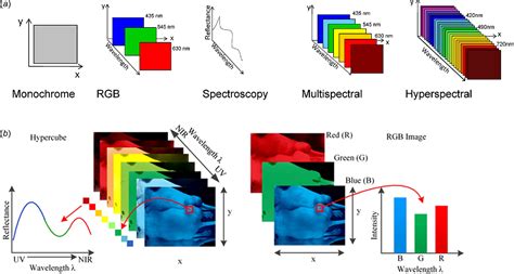 Figure 1 From Single Cell Analysis Using Hyperspectral Imaging Modalities Semantic Scholar