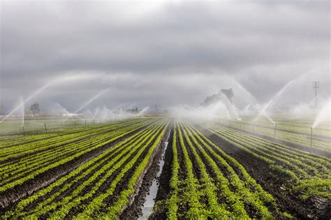 Farmers in East Africa Improve Local Agriculture with Israeli ...