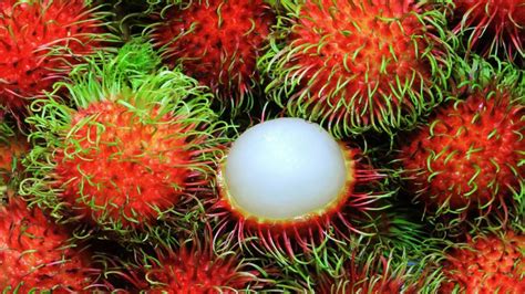 Thai Fruit - Rambutan | Phuket Travel Guide