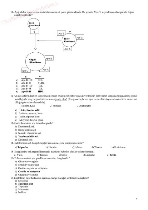 Biyokimyada Metabolik Yollar B T Nleme Sorular B Grubu Sayfa