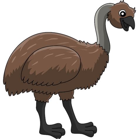 Ilustração de clipart colorida de desenho animado animal emu Vetor