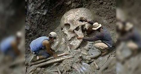 Experts Found Skull Of Goliath In The Valley Of Elah Proves Bible Story