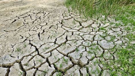 desertification  consequences    prevent  advance