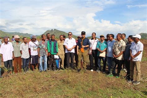 Pj Gubernur Ntt Tinjau Lokasi Cetak Sawah Baru Waekokak Pemerintah