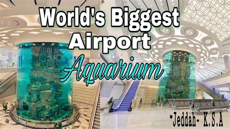 Worlds Biggest Airport Aquarium King Abdulaziz International Airport