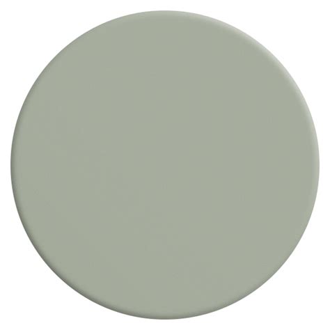 Velours De Peinture Couleur Vert Sauge Lib Ron