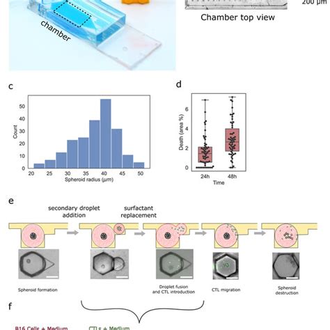 Microfluidic Immuno Oncology Chip And Protocol A Microfluidic Chip On A