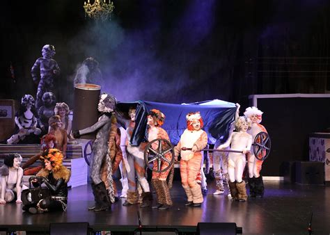 cats musical theatre 3