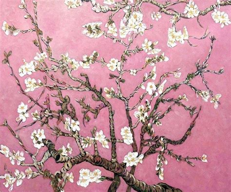 Almond Blossom Tree Van Gogh