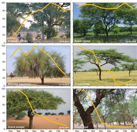 Seasonal Shifts in Habitat Choice of Birds in the Sahel and the