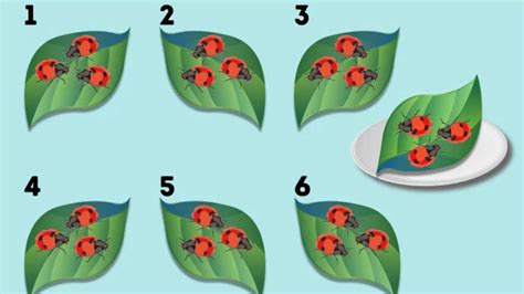 Brain Teaser For Testing Your Iq Can You Spot The Identical Leaves In