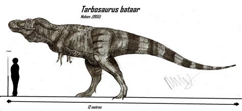 Tarbosaurus