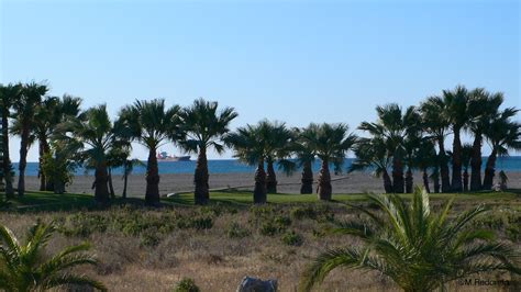 Le Chien Andalous: Beaches of Motril, Playa del Poniente