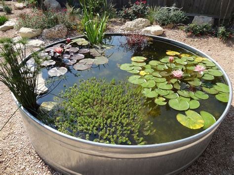 Small Nail Spa Salon Interior Design Ponds For Small Gardens