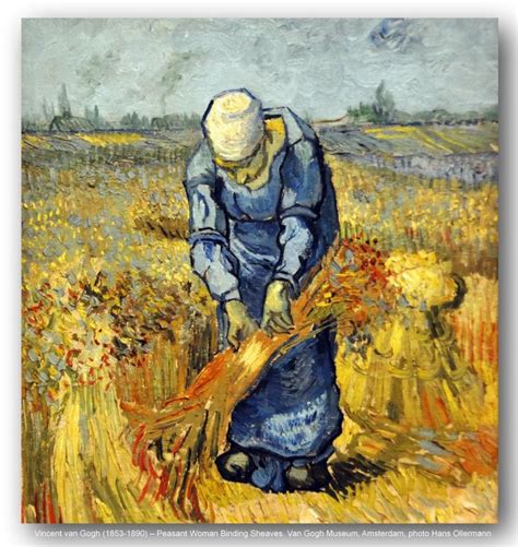 Vincent Van Gogh Peasant Woman Binding Sheaves Van Gogh