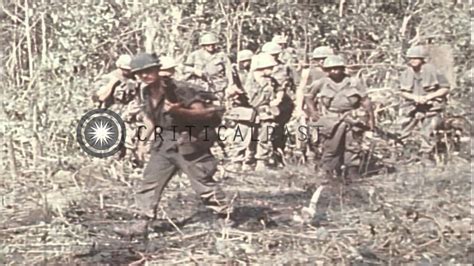 US 199th Light Infantry Brigade troops cross a jungle path during the Vietnam War HD Stock ...