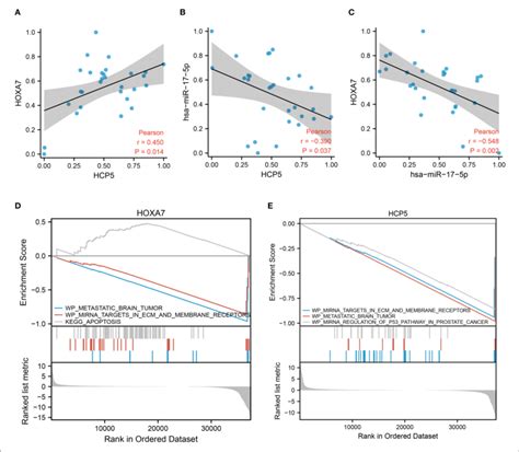 Validation Of The HCP5 Hsa MiR 17 5p HOXA7 Pathway Using GSEA And