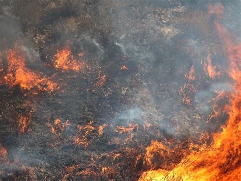 Smoky Air Possible During Controlled Burns At Chester Wildlife Area