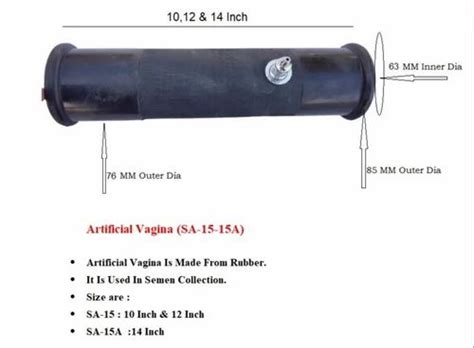 Artificial Vagina 12 At 2800 Piece Veterinary Instruments In Sabarkantha ID 2851705759988