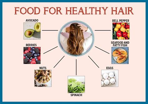 Foods that are healthy for hair - Yoors