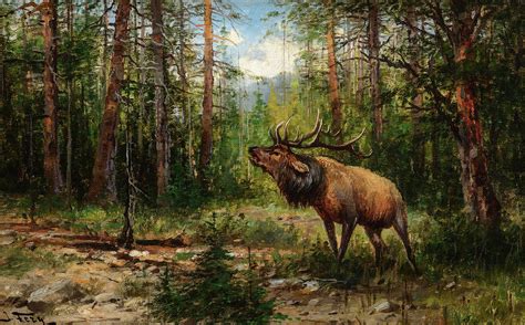 Bugling Elk Painting By John Fery Fine Art America