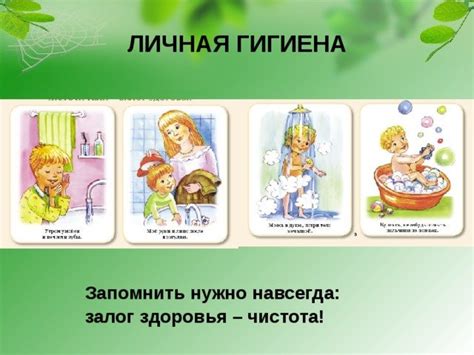 Плакат на тему чистота залог здоровья (49 фото)