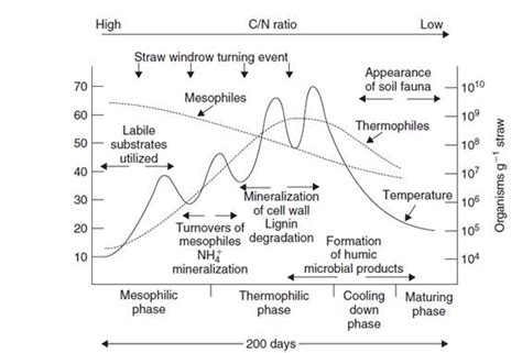 Ambe 101 Lecture 20