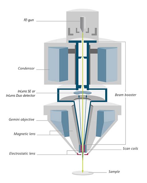 High Resolution Fesem Zeiss Sigma Rave Scientific