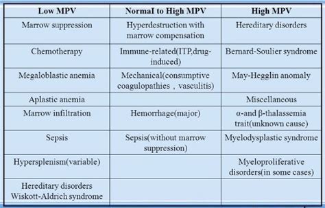 Mpv Blood Test What Is High Low Normal What Does It Mean