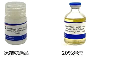 MP Biomedicals社 組換えヒト血清アルブミンライフサイエンス製品情報試薬 富士フイルム和光純薬