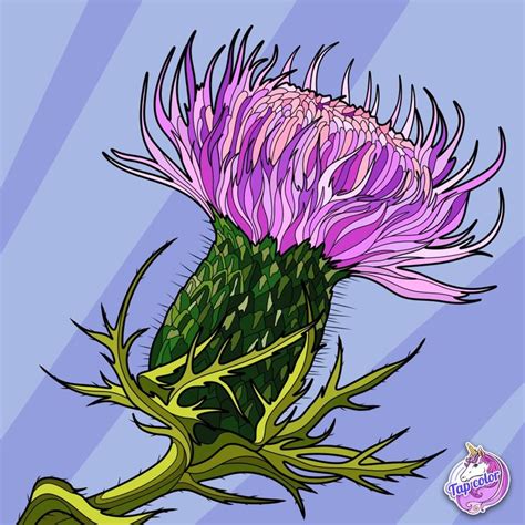 Pin By Joyce Yount On Flowers In Cool Art Drawings Thistles Art