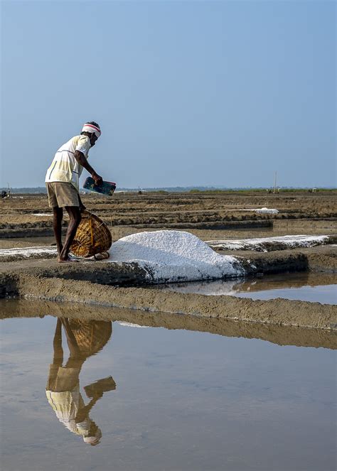 Marakkanam Saltpan Marakkanam Saltpan Is A Salt Producing Flickr