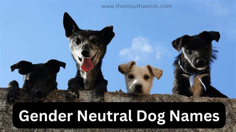 Gender Neutral Dog Names || dog names gender neutral