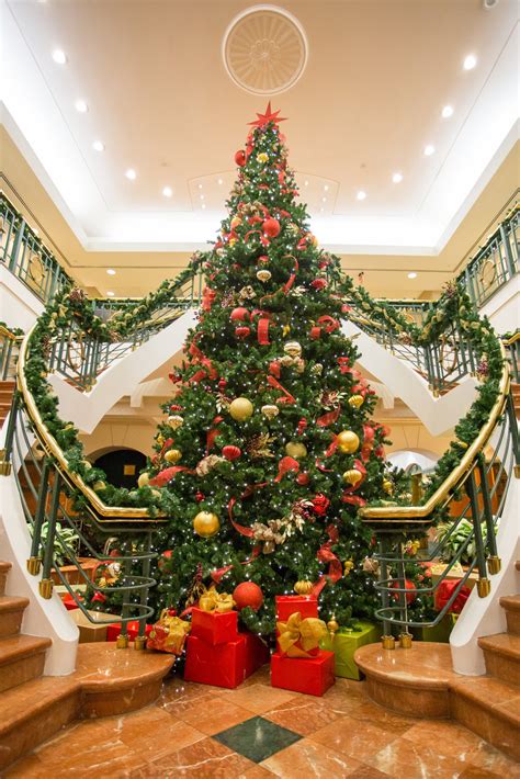 Professional Christmas Decorators & Lighting Miami, FL | Plant ...