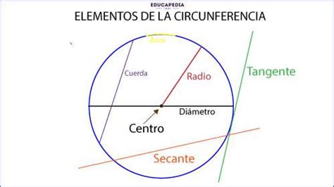 Elementos De Una Circunferencia Curso Para La Unam Porn Sex Picture