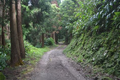 Tripadvisor Tour A Piedi Di Mezza Giornata Lagoa Do Fogo Trail