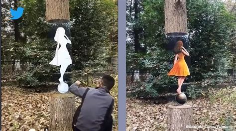 Optical Illusions Faces In Trees