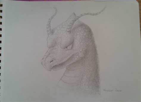 I drew this realistic Dragonite! : r/pokemon