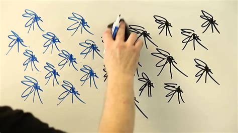 Understanding Gene Drives For Eliminating The Mosquitoes Borne Diseases