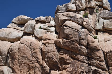 Joshua Tree National Park Rock Piles And Joshua Trees Journey To All