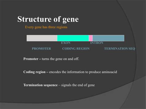 Genetics And Periodontal Diseasepptx