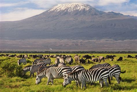 Amboseli Is Known As The Home To The Legendary MaasaiWarriors And It