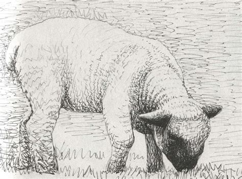 21 I Would Bring A Lamb” Sketch Lamb Henry Moore 1898 1986